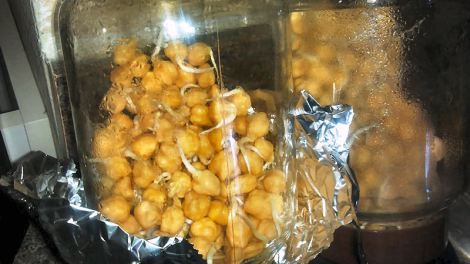 2013-05-05_10-48-09_719