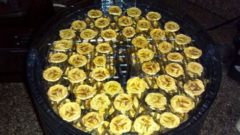 2013-04-10_15-09-38_657