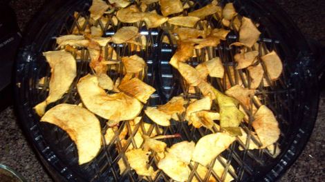 2013-04-12_08-04-00_749