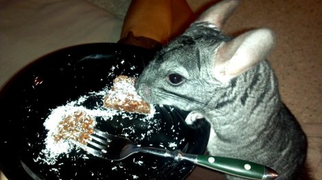 2013-05-17_19-29-40_295