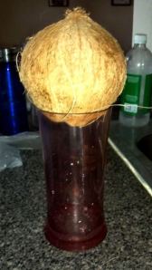 2013-05-30_15-15-46_167