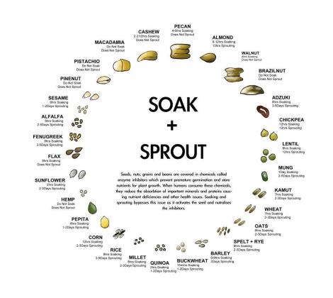 soak-+-sprout-chart1