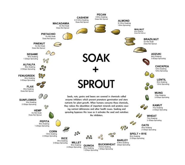 soak-+-sprout-chart1