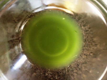 Look at all that great cucumber juice! 