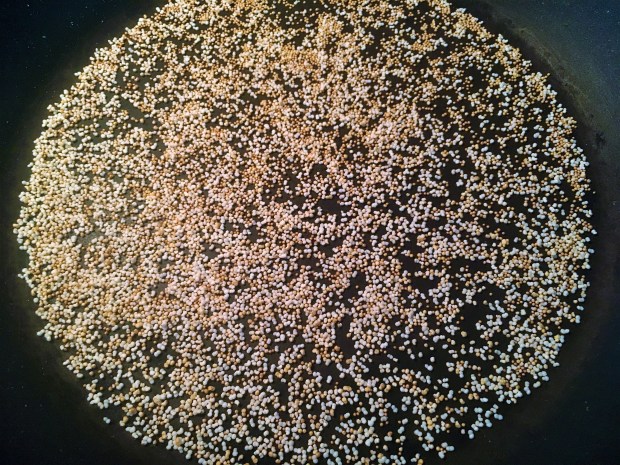 2017-07-15 12.21.09.jpg